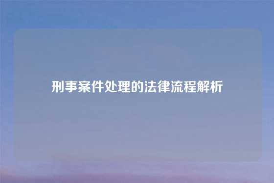 刑事案件处理的法律流程解析