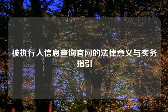 被执行人信息查询官网的法律意义与实务指引