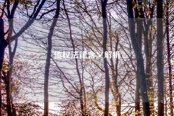 债权法律含义解析