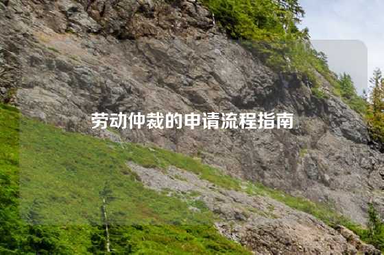 劳动仲裁的申请流程指南