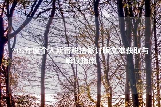 2025年度个人所得税法修订版文本获取与解读指南