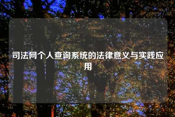 司法网个人查询系统的法律意义与实践应用