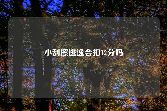 小刮擦逃逸会扣12分吗