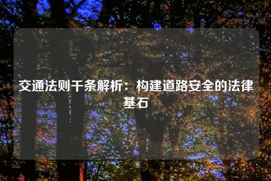 交通法则千条解析：构建道路安全的法律基石