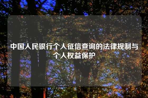 中国人民银行个人征信查询的法律规制与个人权益保护