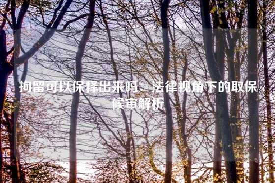 拘留可以保释出来吗：法律视角下的取保候审解析