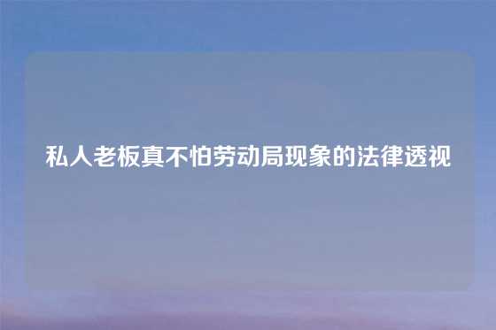 私人老板真不怕劳动局现象的法律透视