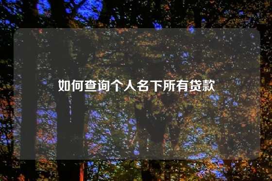 如何查询个人名下所有贷款