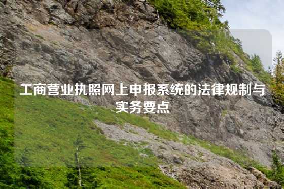 工商营业执照网上申报系统的法律规制与实务要点