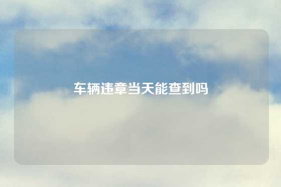 车辆违章当天能查到吗