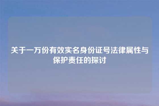 关于一万份有效实名身份证号法律属性与保护责任的探讨
