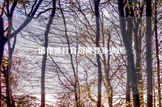 请律师打官司需要多少钱