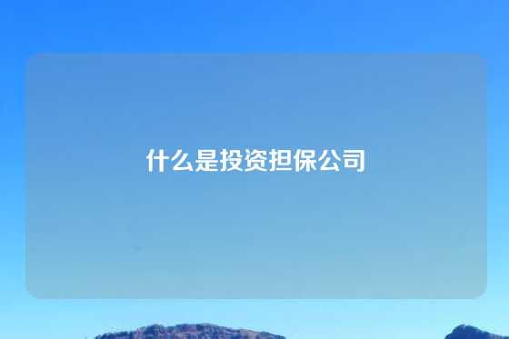 什么是投资担保公司
