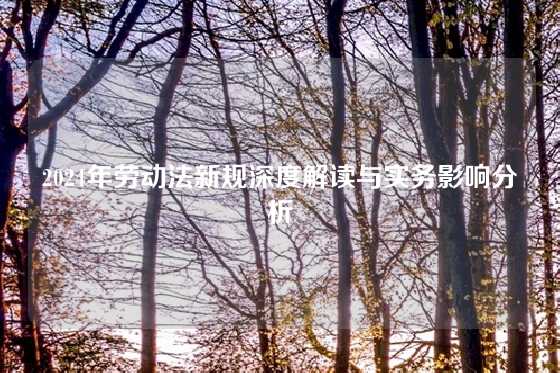 2024年劳动法新规深度解读与实务影响分析