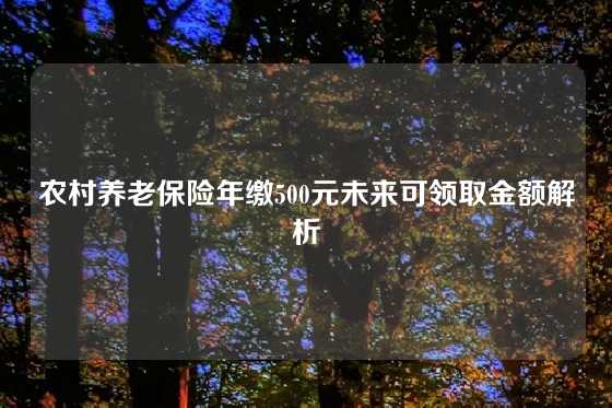 农村养老保险年缴500元未来可领取金额解析