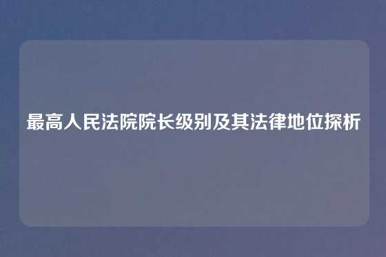 最高人民法院院长级别及其法律地位探析