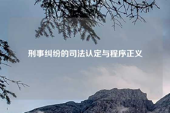 刑事纠纷的司法认定与程序正义