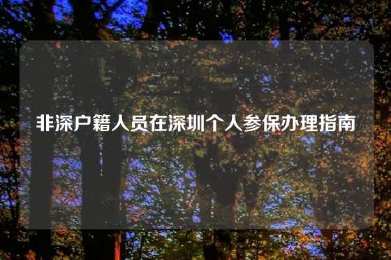 非深户籍人员在深圳个人参保办理指南