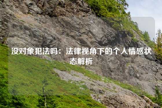 没对象犯法吗：法律视角下的个人情感状态解析