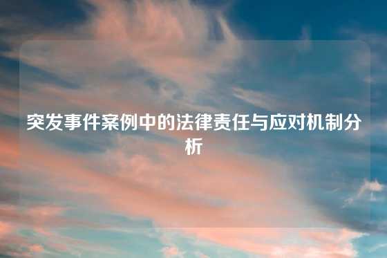 突发事件案例中的法律责任与应对机制分析