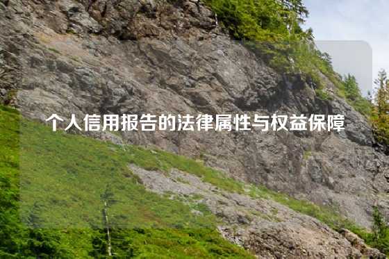 个人信用报告的法律属性与权益保障