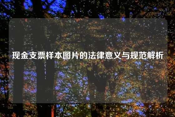 现金支票样本图片的法律意义与规范解析