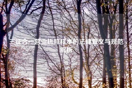 三证合一营业执照样本的法律意义与规范解析