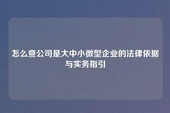 怎么查公司是大中小微型企业的法律依据与实务指引