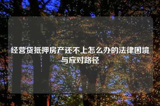 经营贷抵押房产还不上怎么办的法律困境与应对路径
