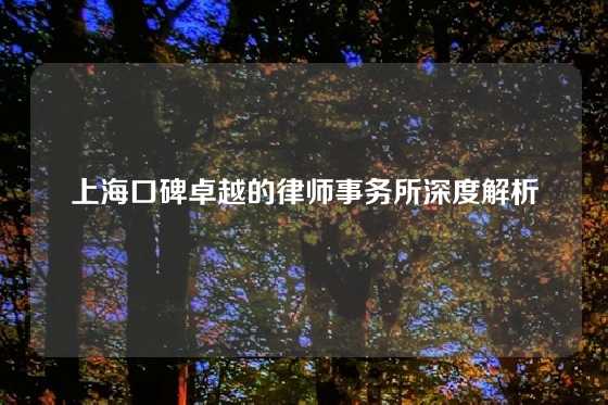 上海口碑卓越的律师事务所深度解析