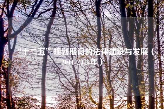 “十二五”规划期间的法律建设与发展（2011-2015年）