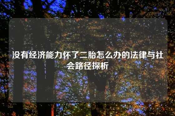 没有经济能力怀了二胎怎么办的法律与社会路径探析