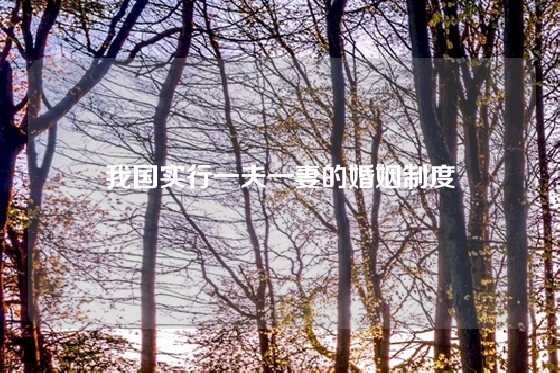 我国实行一夫一妻的婚姻制度