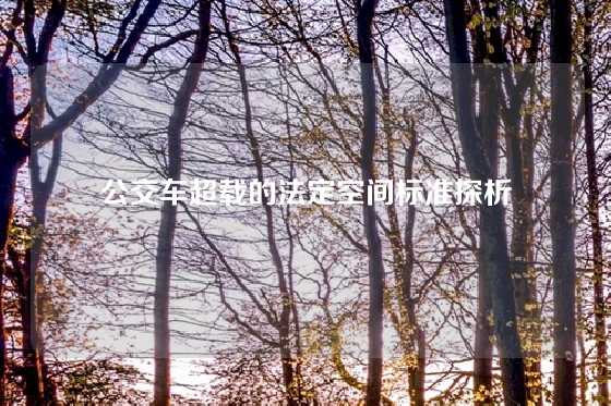 公交车超载的法定空间标准探析