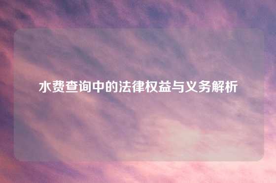 水费查询中的法律权益与义务解析