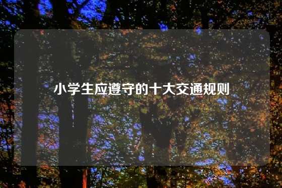 小学生应遵守的十大交通规则