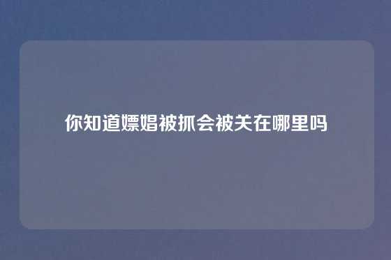 你知道嫖娼被抓会被关在哪里吗