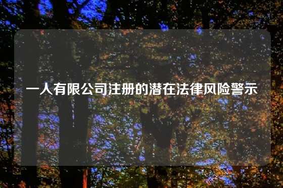 一人有限公司注册的潜在法律风险警示