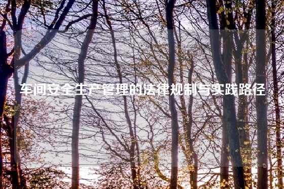 车间安全生产管理的法律规制与实践路径