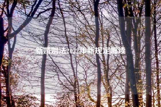 新婚姻法2022年新规定解读