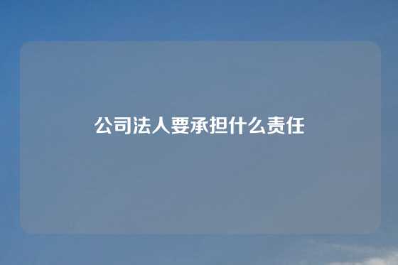 公司法人要承担什么责任