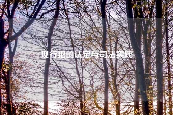 现行犯的认定与司法实践