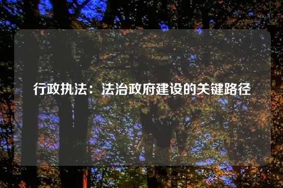 行政执法：法治政府建设的关键路径