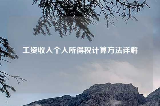 工资收入个人所得税计算方法详解