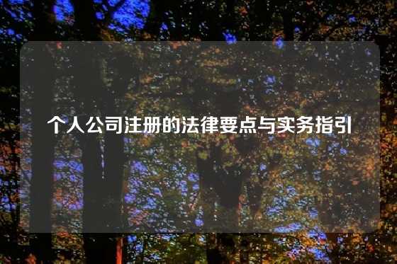 个人公司注册的法律要点与实务指引