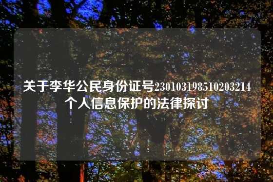 关于李华公民身份证号230103198510203214个人信息保护的法律探讨
