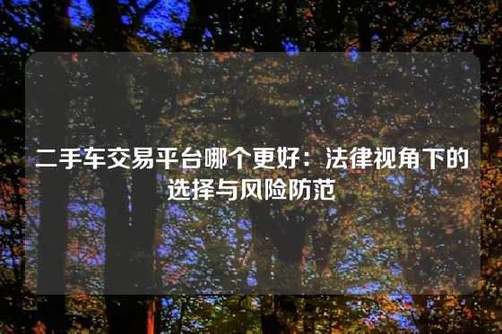 二手车交易平台哪个更好：法律视角下的选择与风险防范
