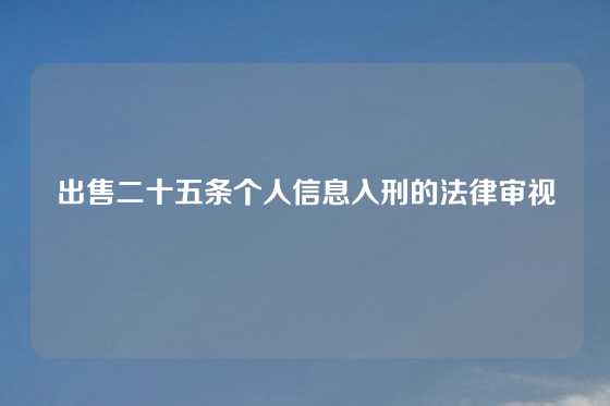 出售二十五条个人信息入刑的法律审视