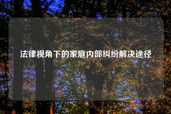 法律视角下的家庭内部纠纷解决途径