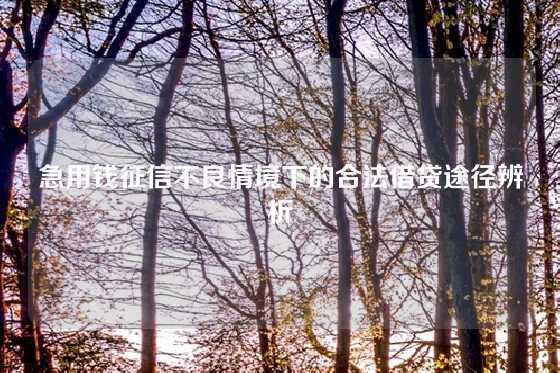 急用钱征信不良情境下的合法借贷途径辨析
